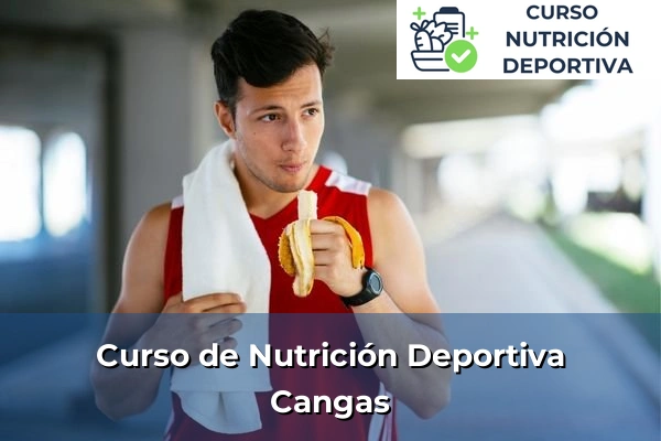 Curso de Nutrición Deportiva en Cangas