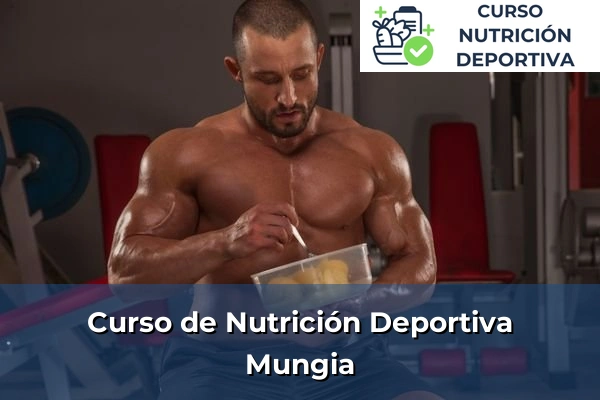 Curso de Nutrición Deportiva en Mungia