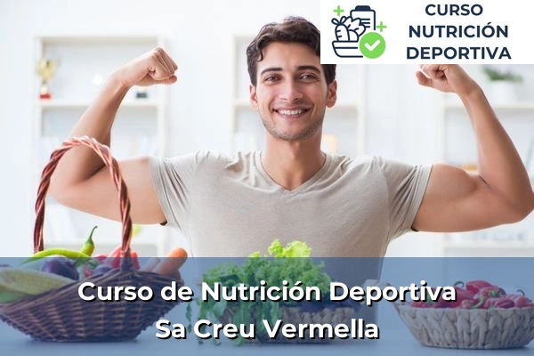 Curso de Nutrición Deportiva en Sa Creu Vermella